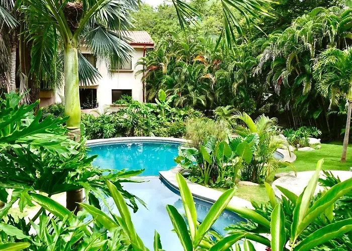 Birds Of A Feather 2br2ba Ocotal Coastal Retreat Playa Ocotal